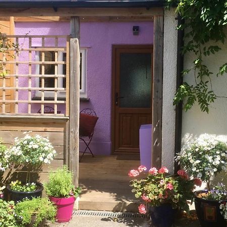 Cute Self-Contained Guest Room With Ensuite And Private Decked Porch In グラストンベリー エクステリア 写真