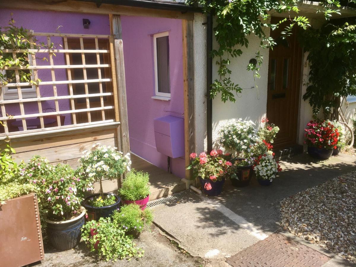 Cute Self-Contained Guest Room With Ensuite And Private Decked Porch In グラストンベリー エクステリア 写真